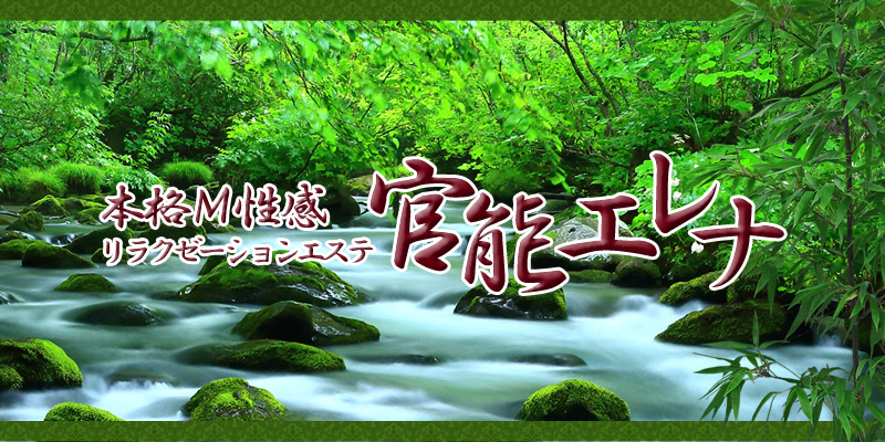 立川発！本格Ｍ性感リラクゼーションエステ【官能エレナ】